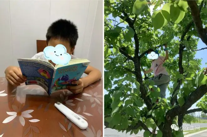 纯美式篮球训练计划怎么写_1